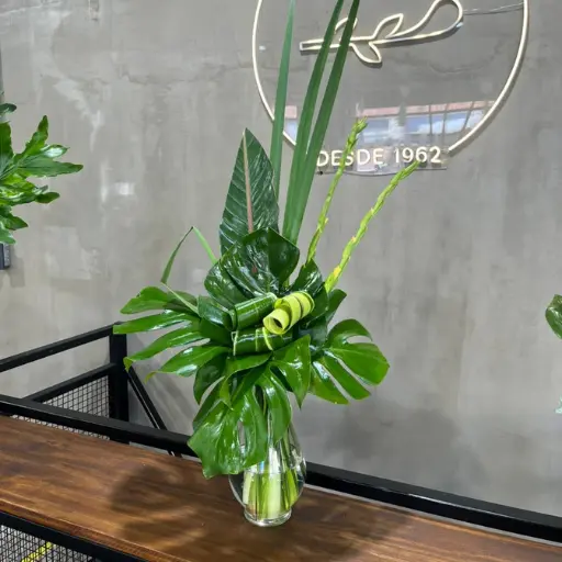 Arreglo de verde chloris